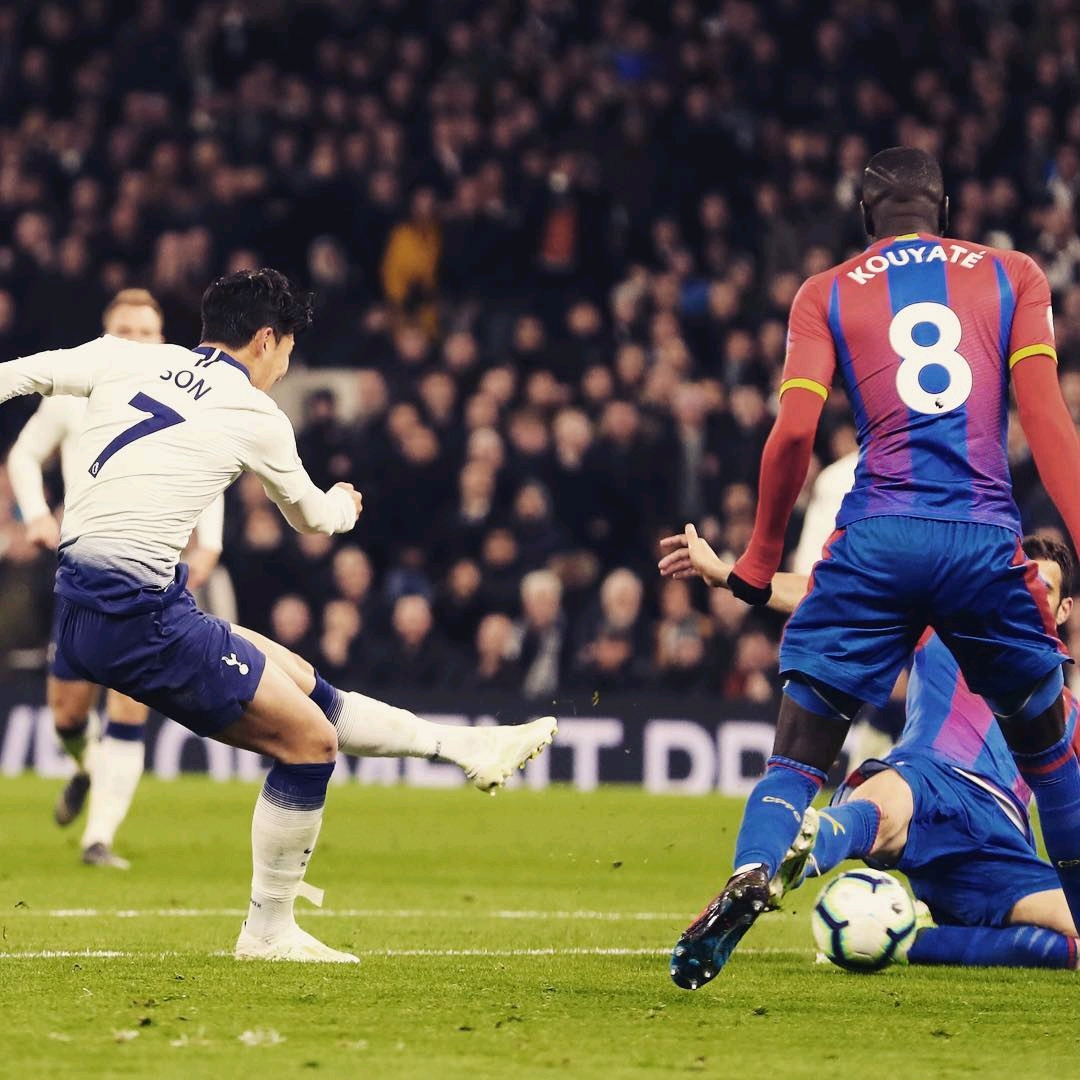 诸多荣誉的 诸多荣誉的