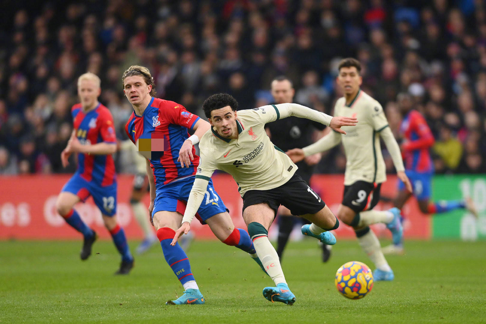 不只是因为 不只是因为